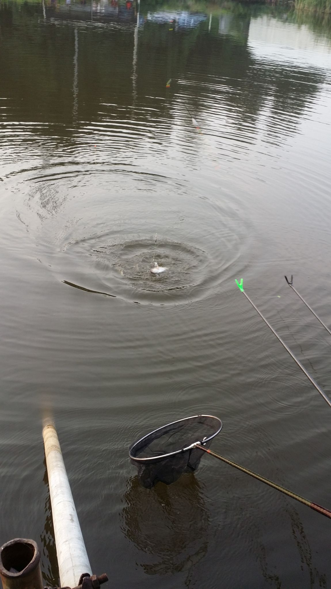 20150815_182747.jpg
