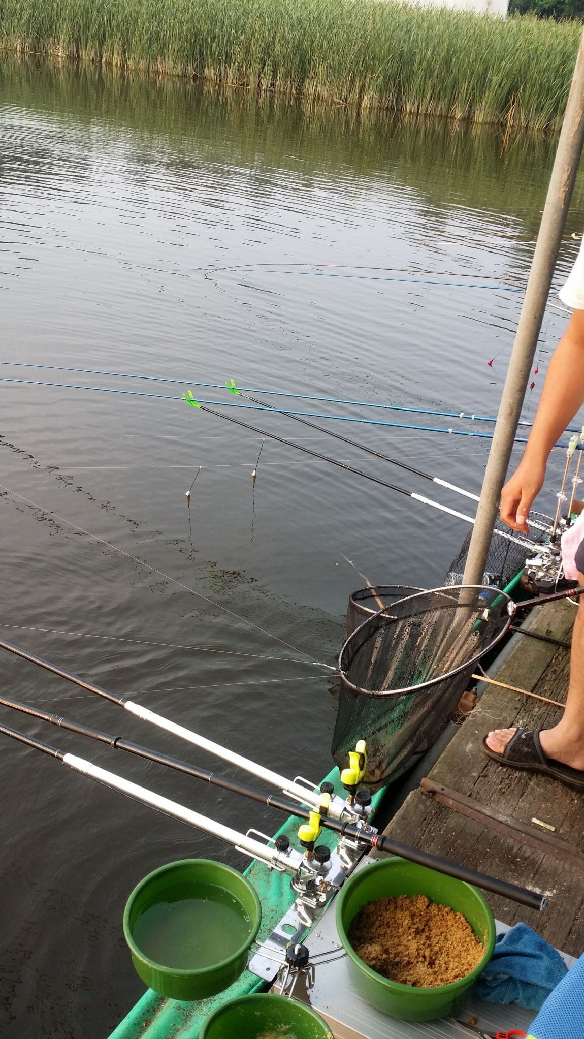 20150815_182807.jpg