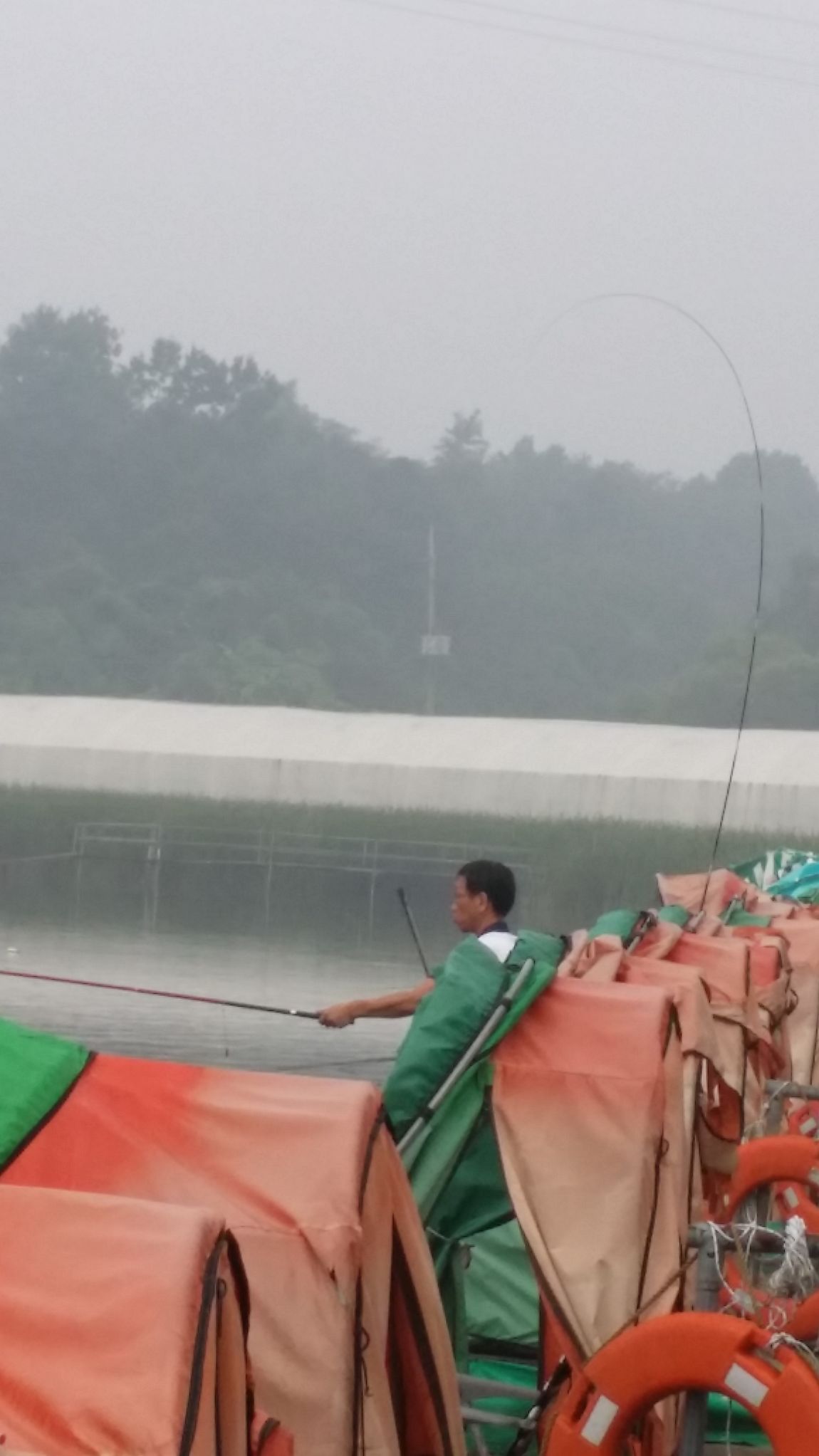 20150816_082205.jpg
