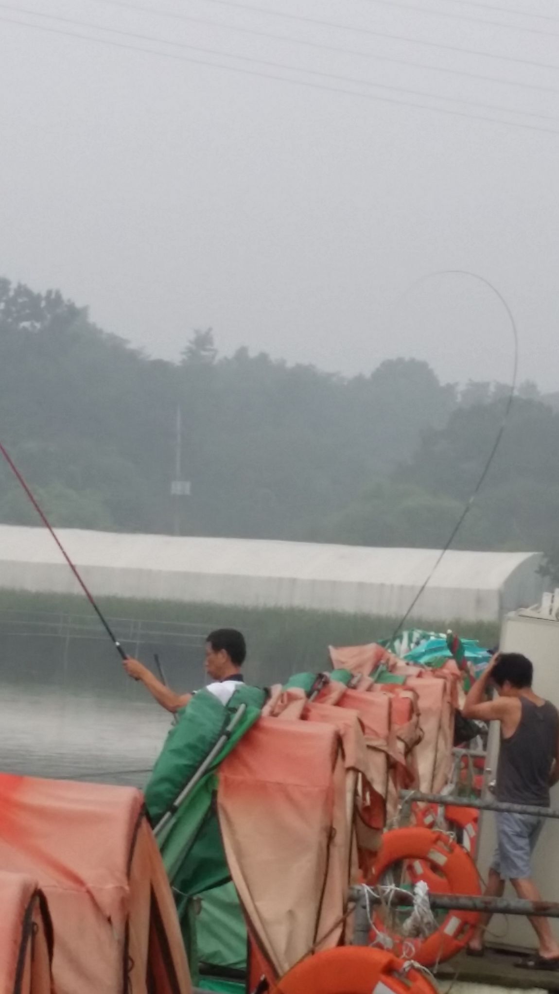20150816_082208.jpg