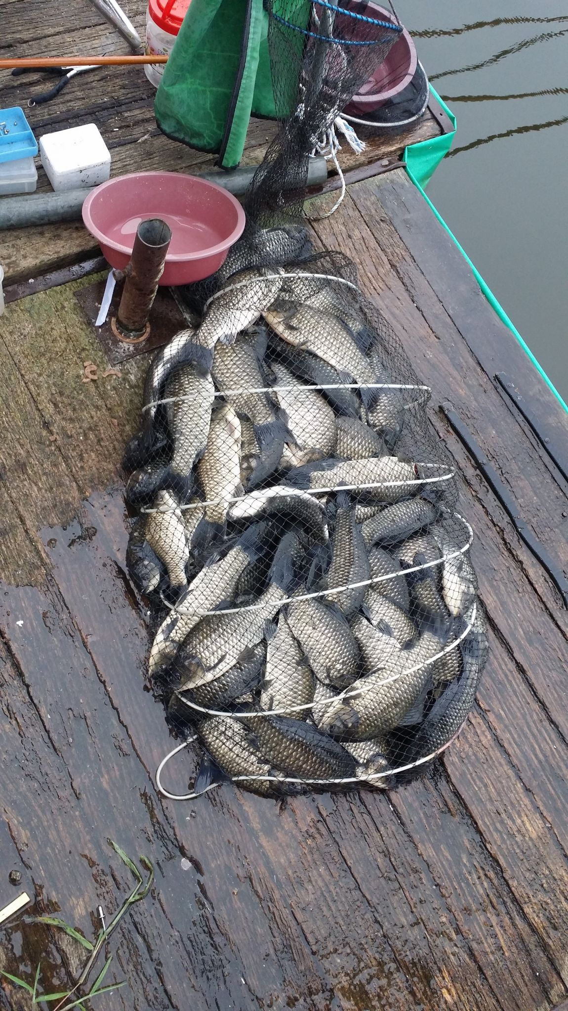 20150816_082357.jpg