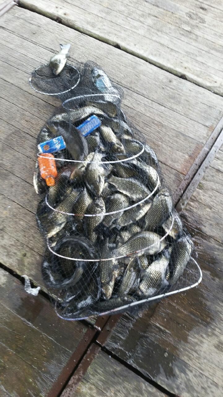 20150816_091623.jpg