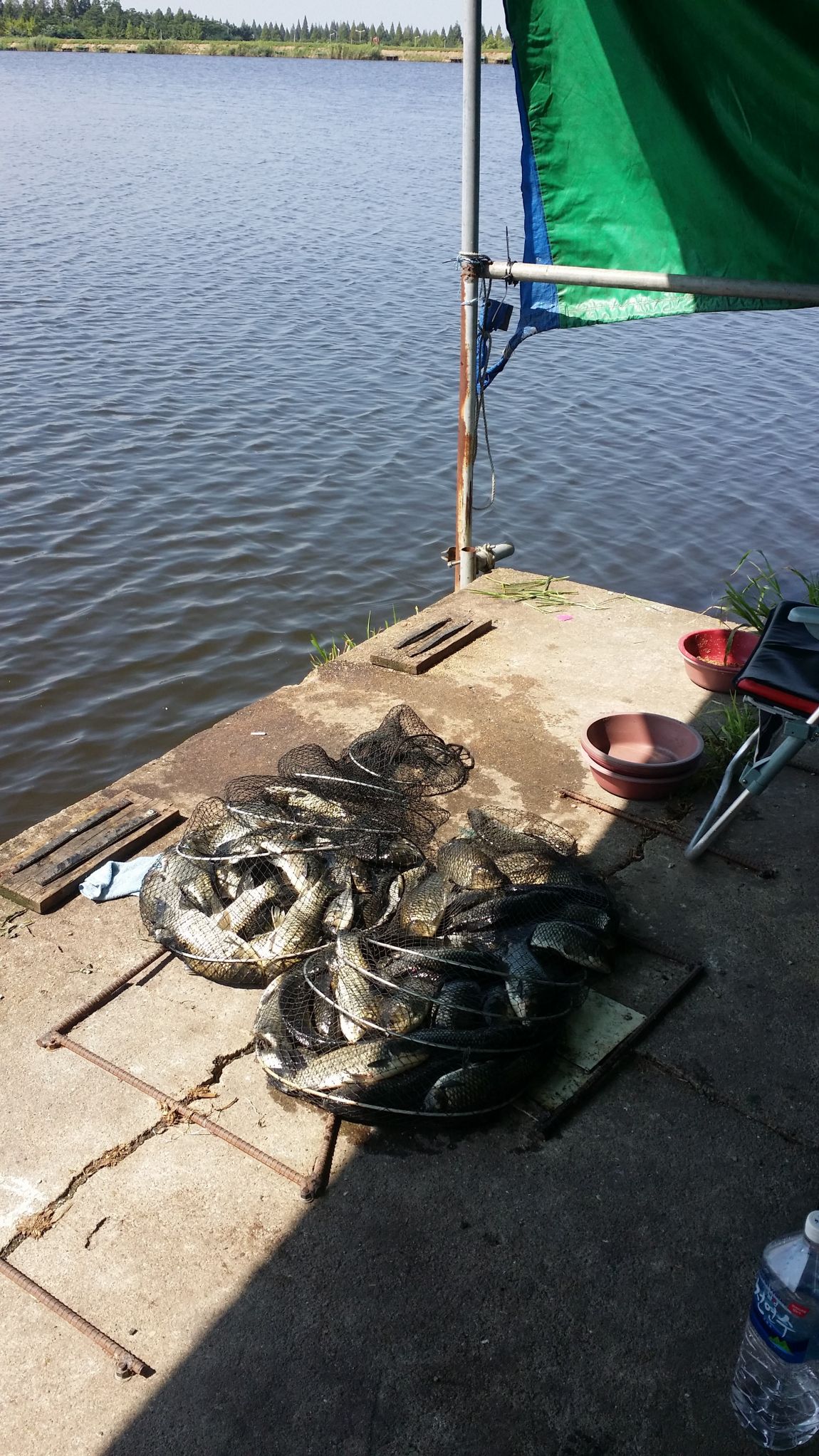 20150818_102510.jpg