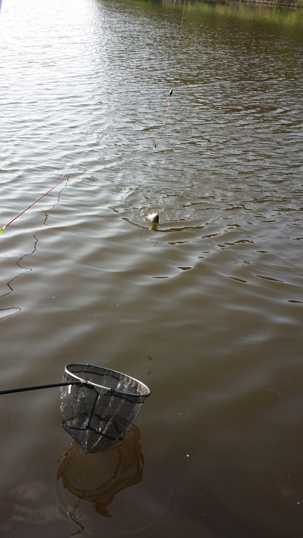 20150818_172316.jpg