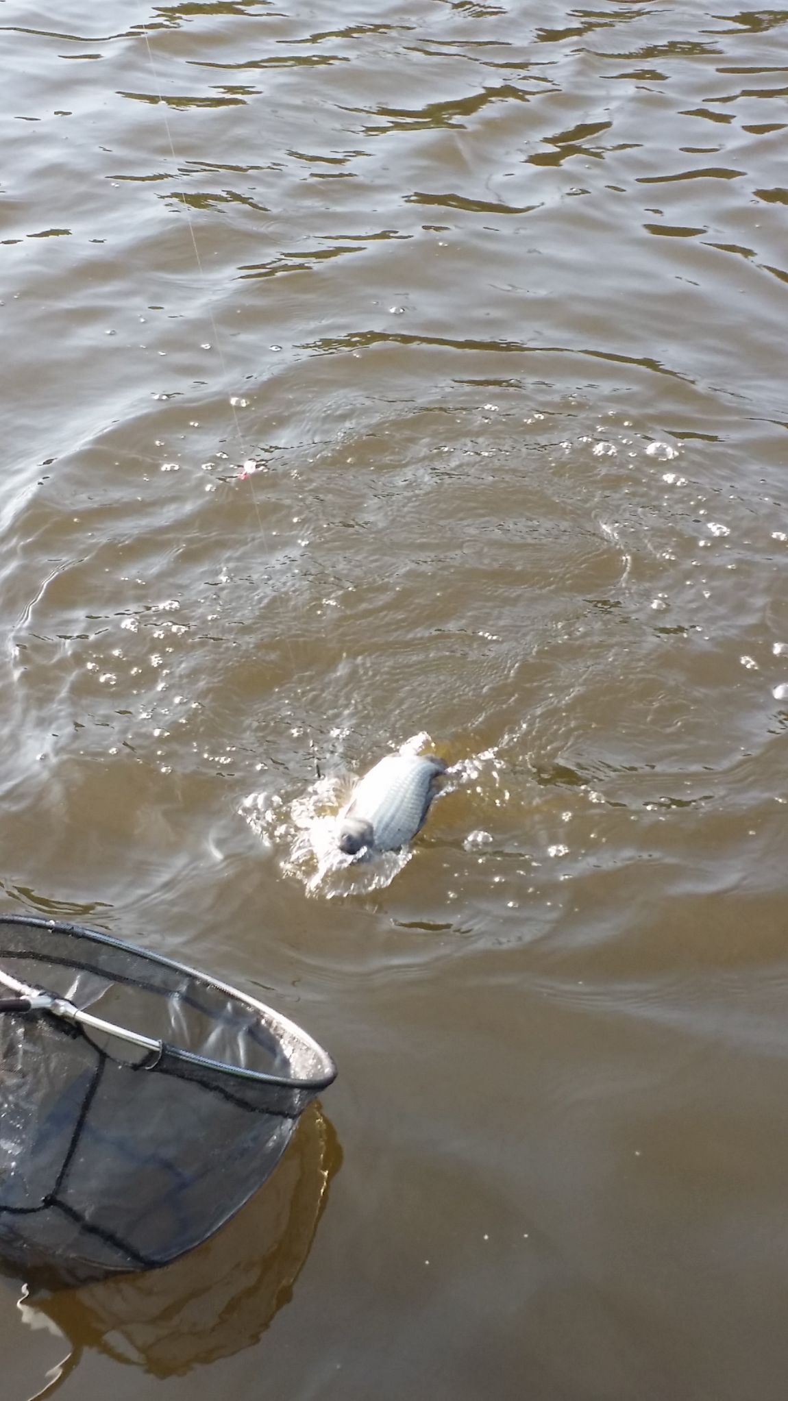 20150818_172320.jpg
