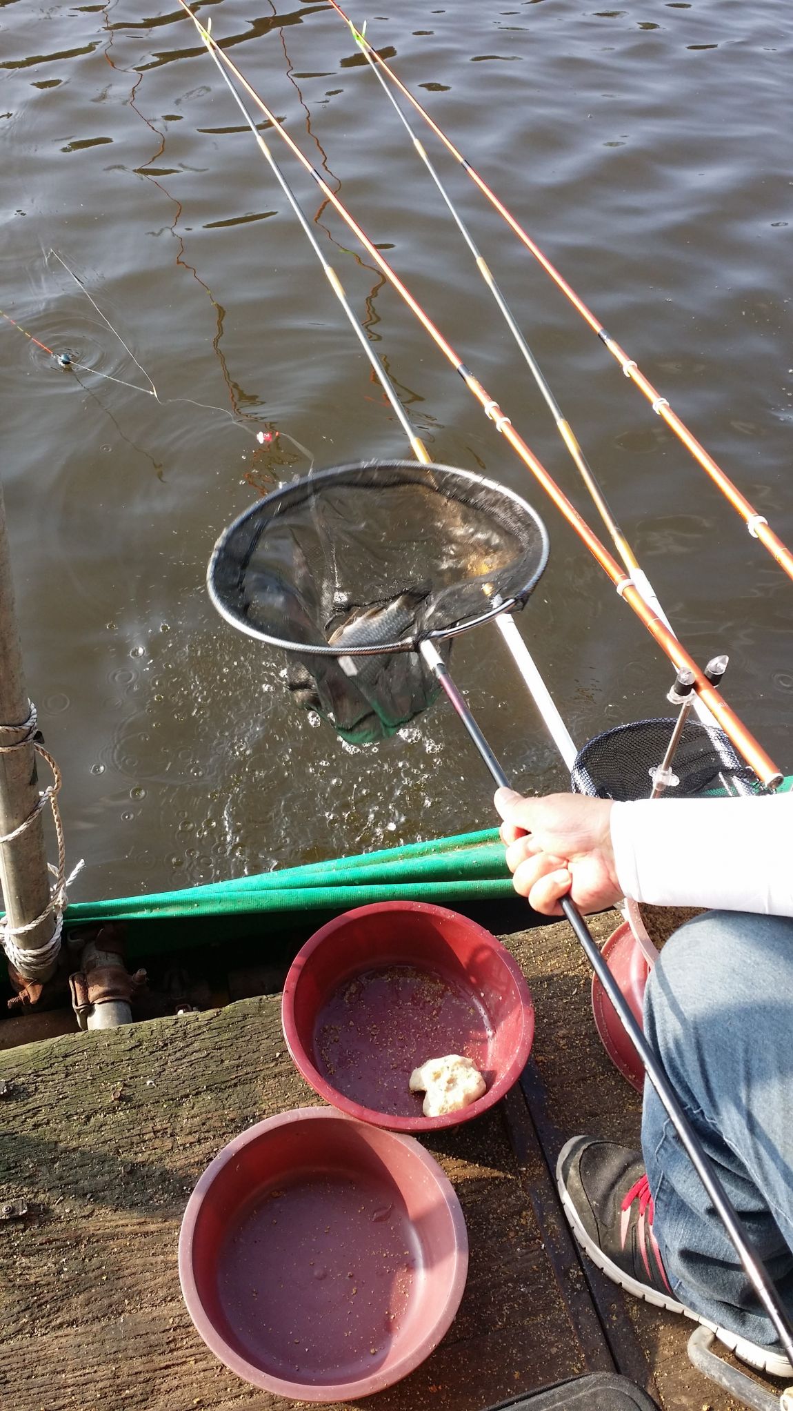 20150818_172329.jpg