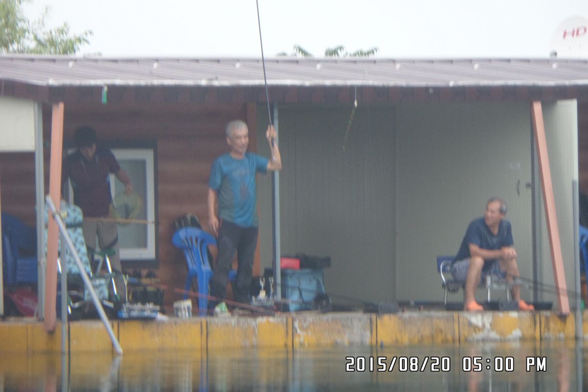 SAM_0362.JPG