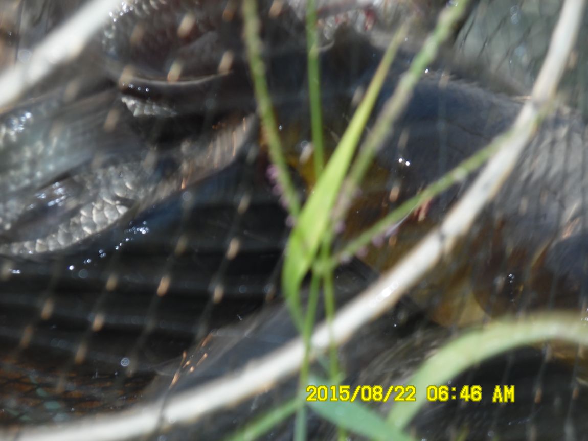 8��21~22�� 001.JPG