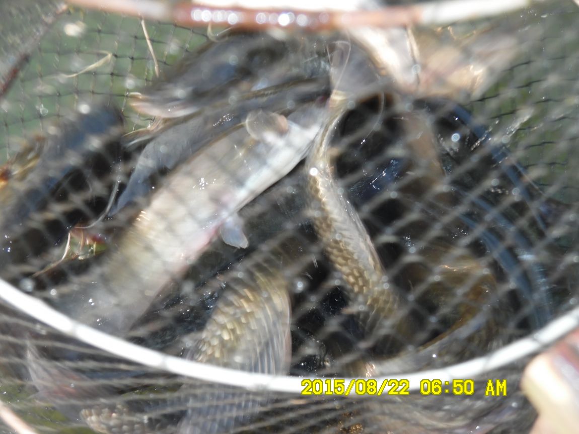 8��21~22�� 002.JPG