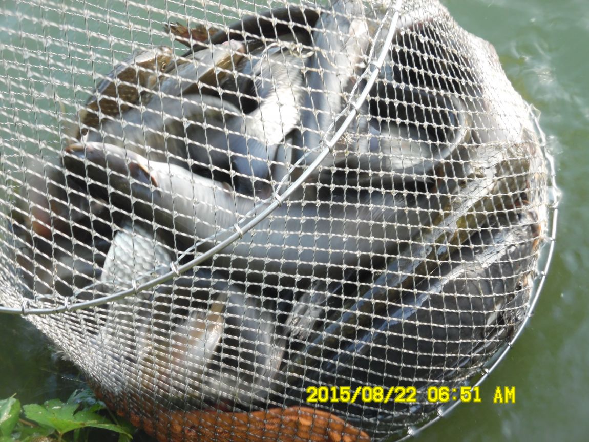 8��21~22�� 003.JPG