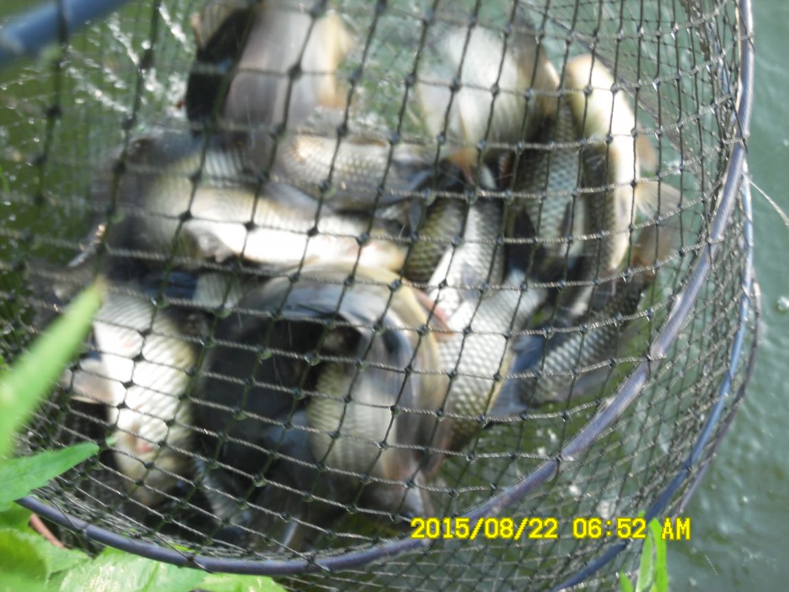 8��21~22�� 004.JPG