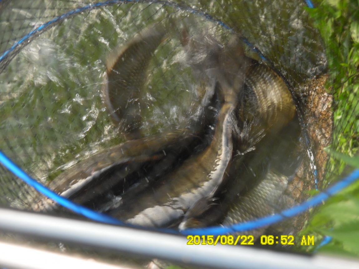 8��21~22�� 005.JPG