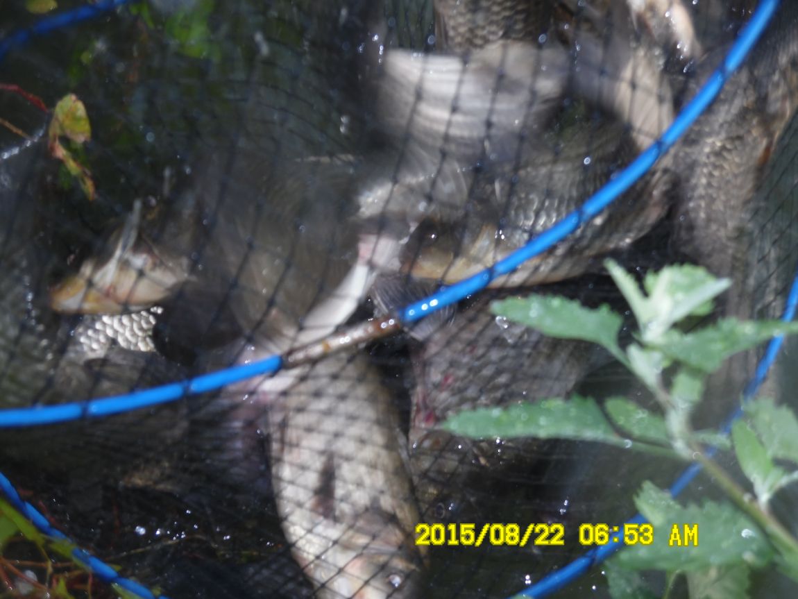 8��21~22�� 006.JPG