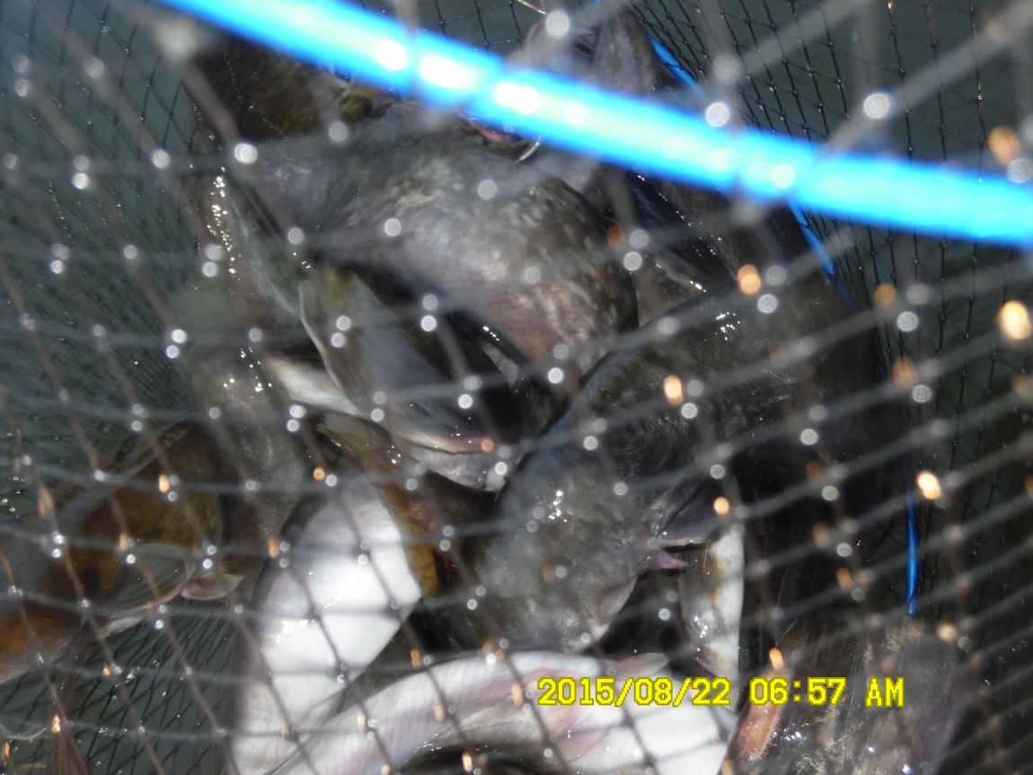 8��21~22�� 009.JPG