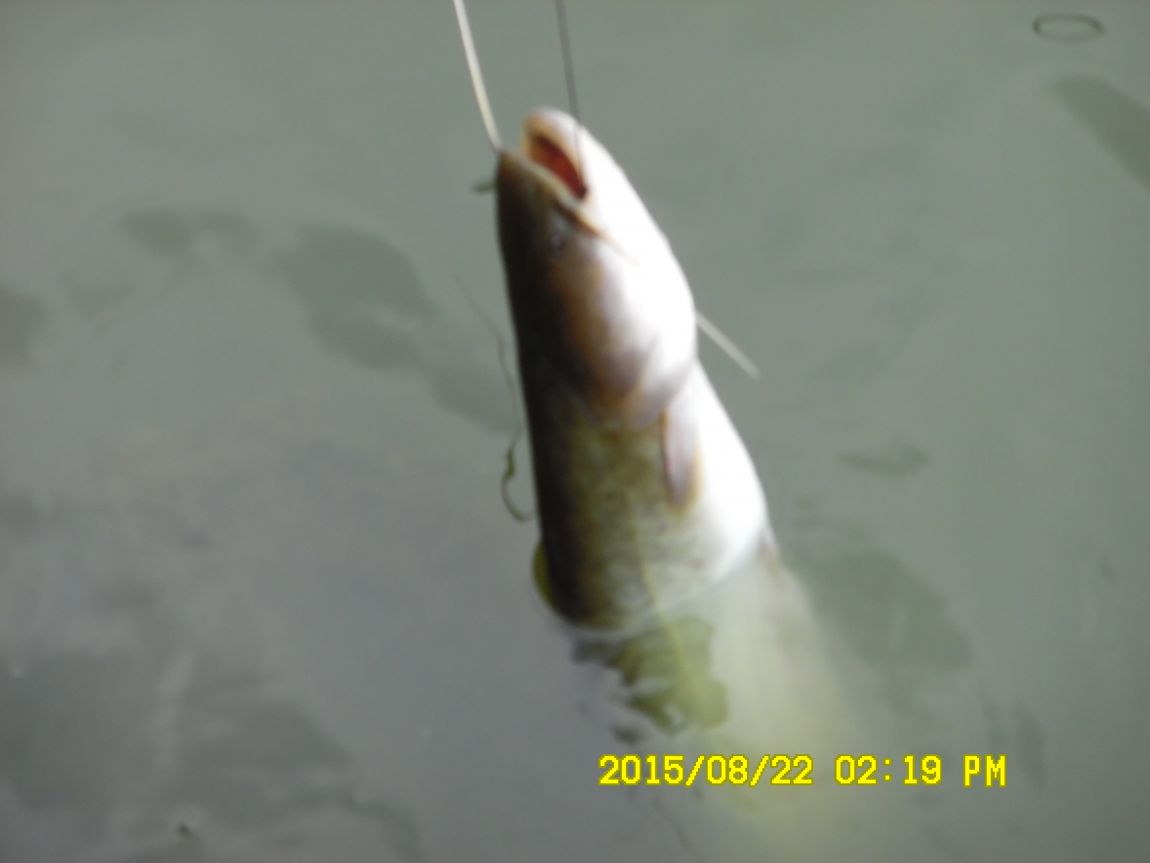 8��21~22�� 013.JPG