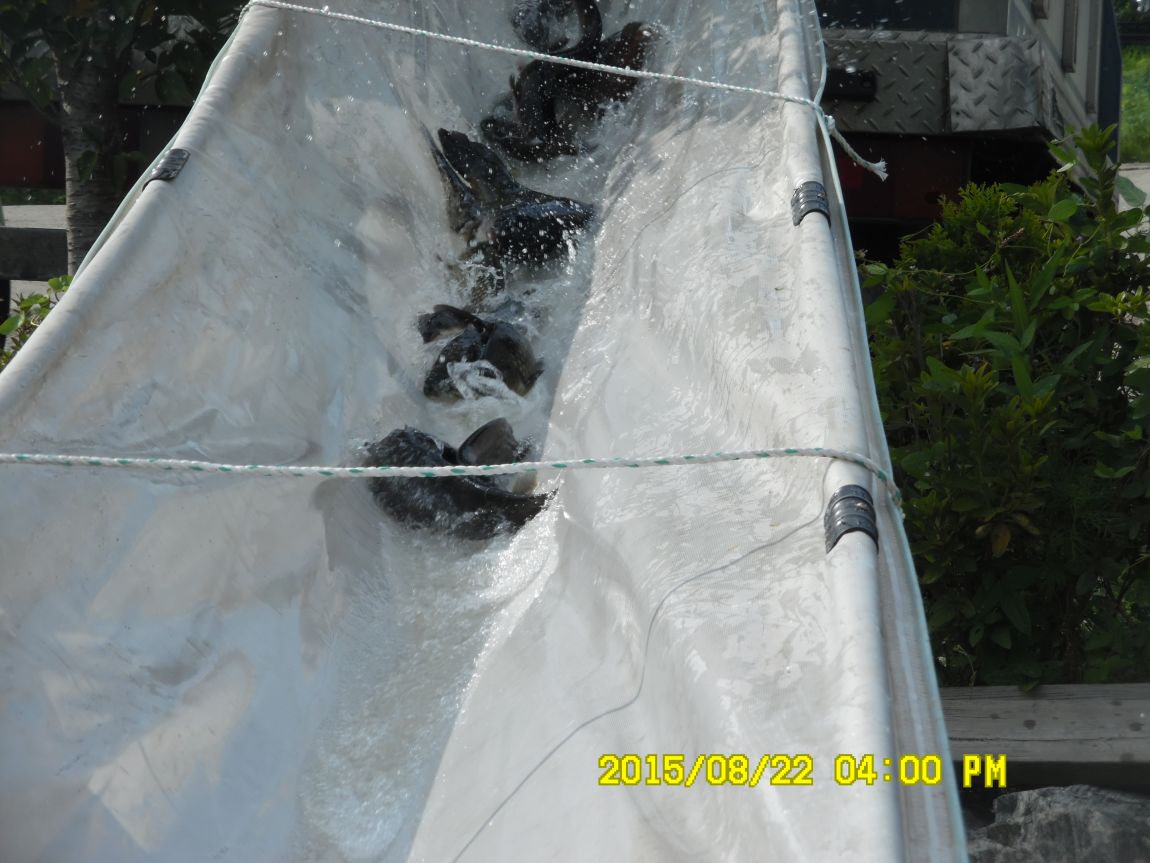 8��21~22�� 017.JPG