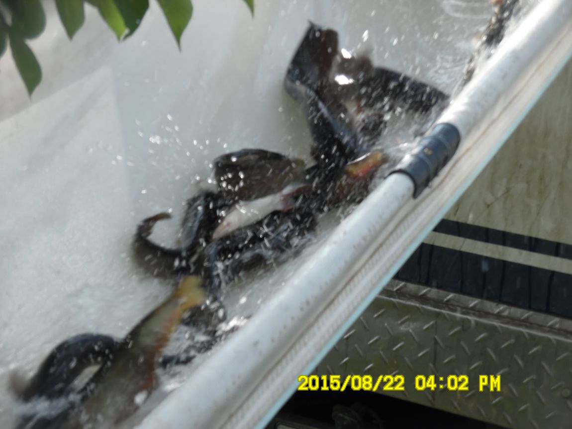 8��21~22�� 018.JPG