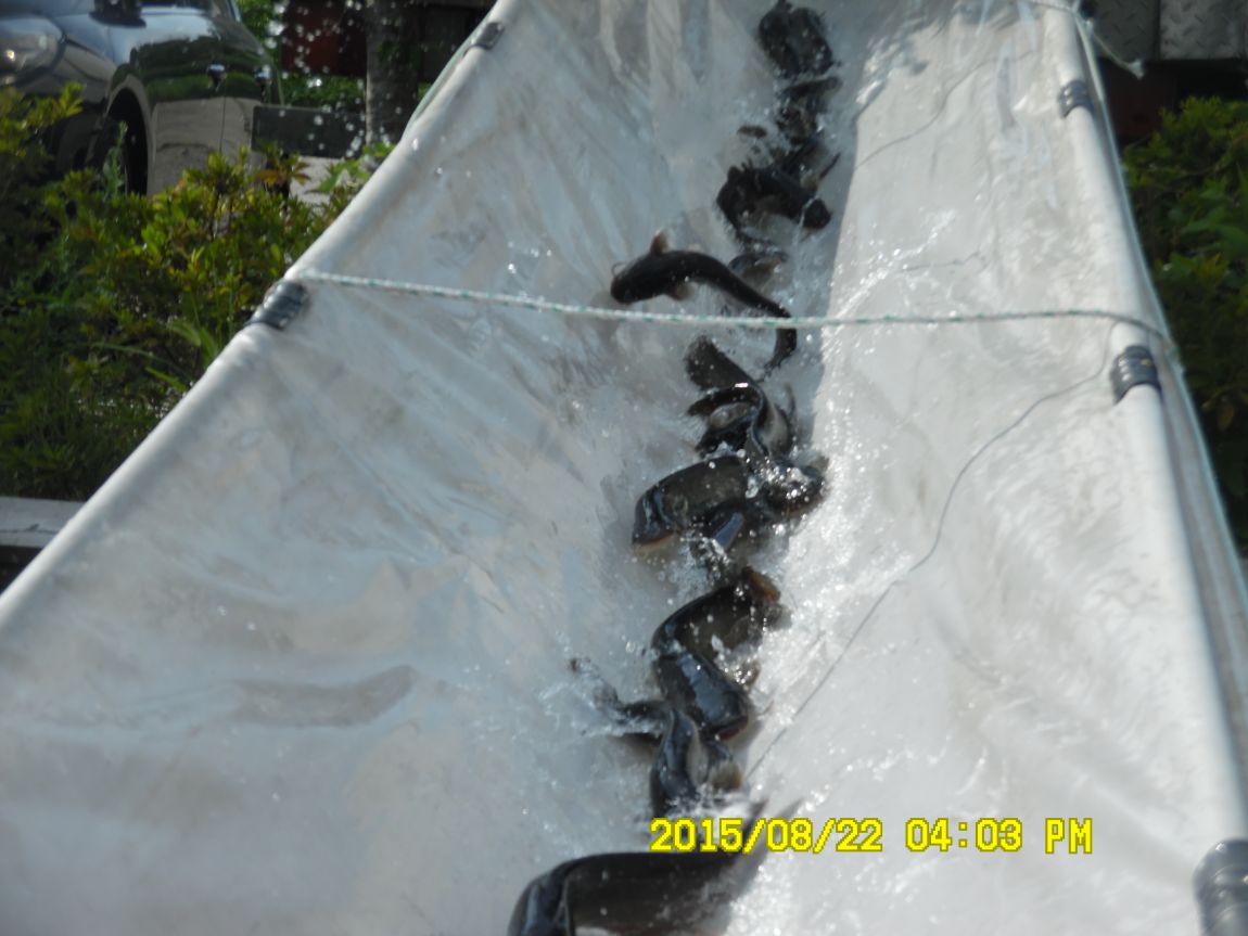 8��21~22�� 019.JPG