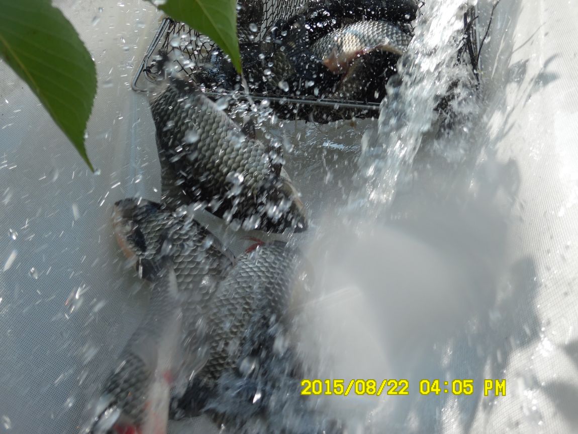 8��21~22�� 021.JPG