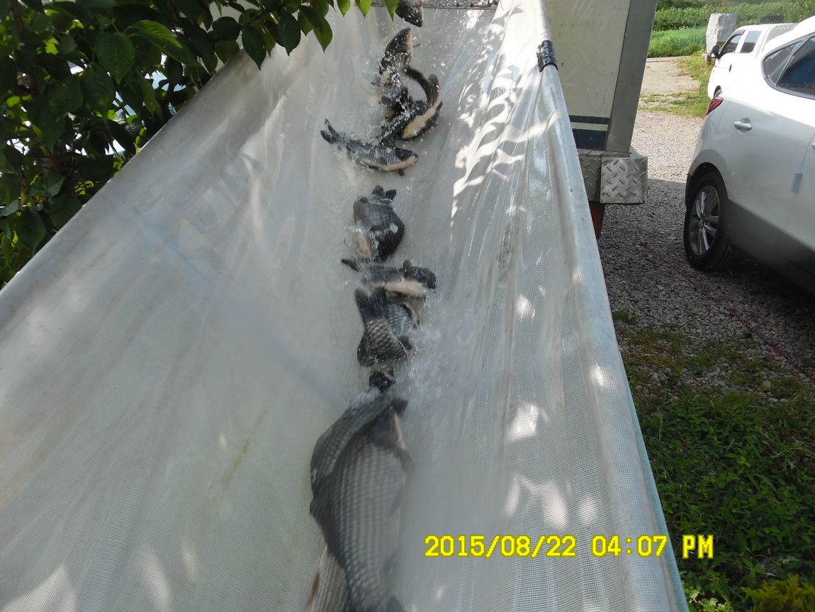 8��21~22�� 022.JPG