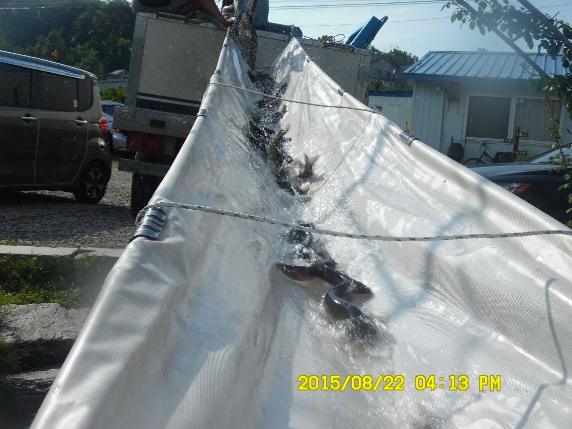 8��21~22�� 024.JPG