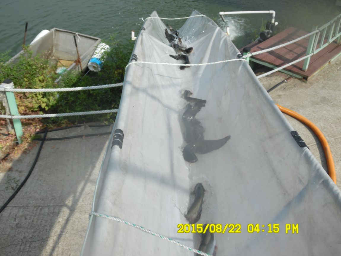 8��21~22�� 028.JPG