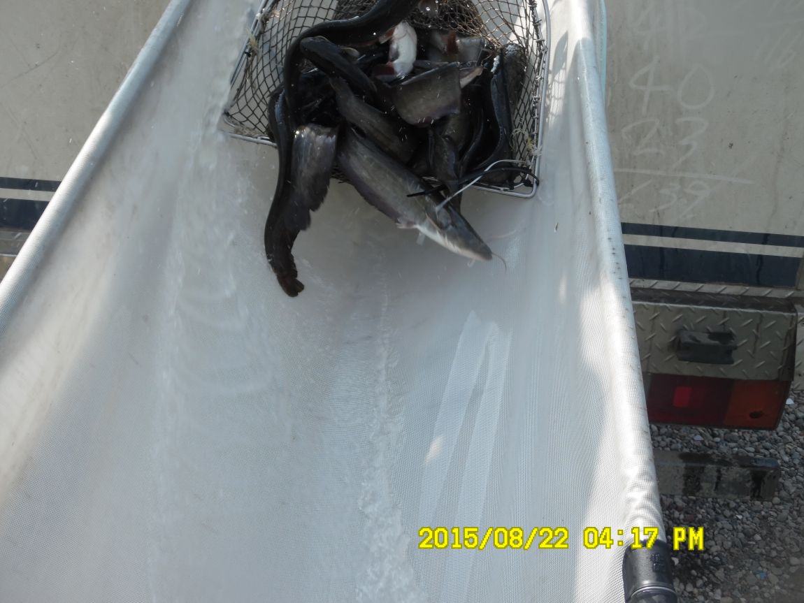 8��21~22�� 029.JPG