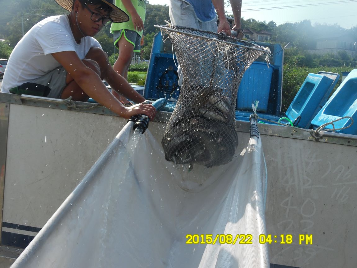 8��21~22�� 030.JPG