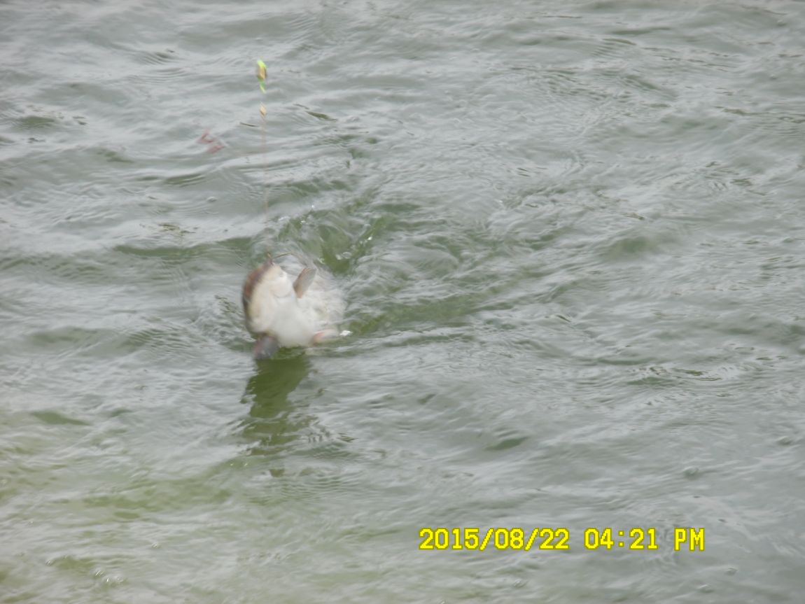 8��21~22�� 034.JPG