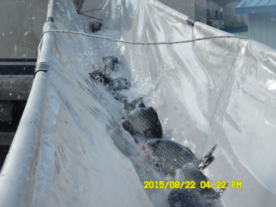 8��21~22�� 035.JPG