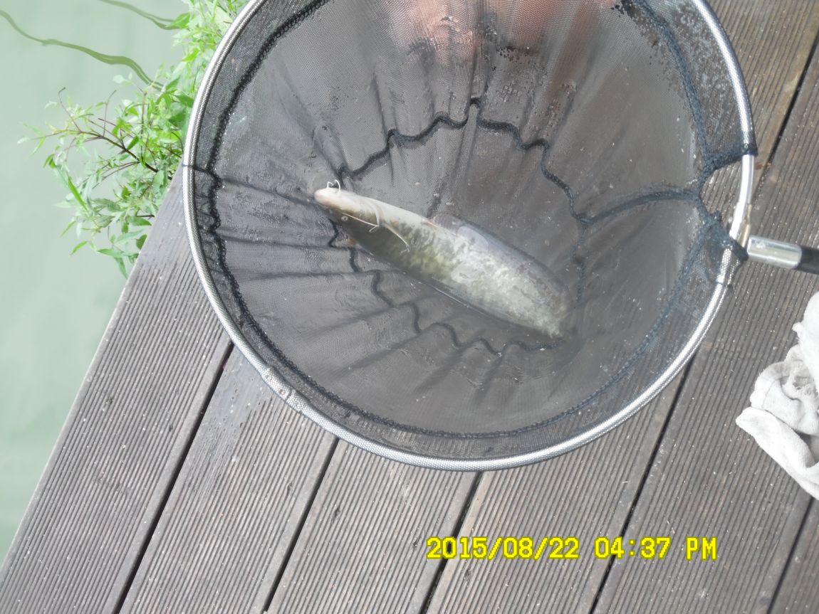 8��21~22�� 039.JPG