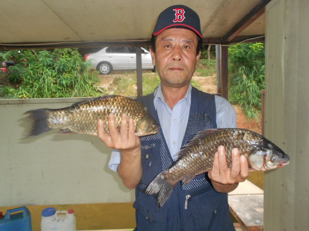 DSCN2351.JPG