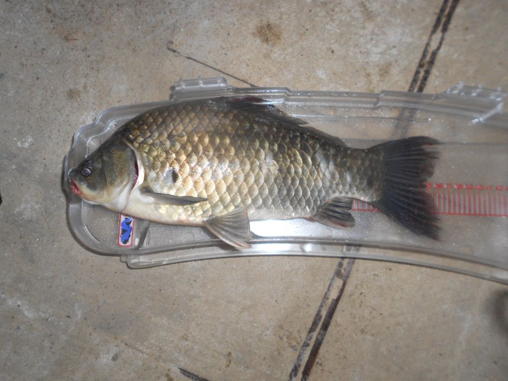 DSCN2345.JPG