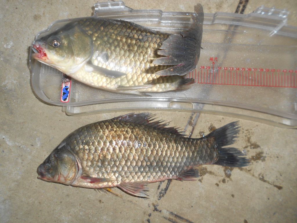 DSCN2346.JPG