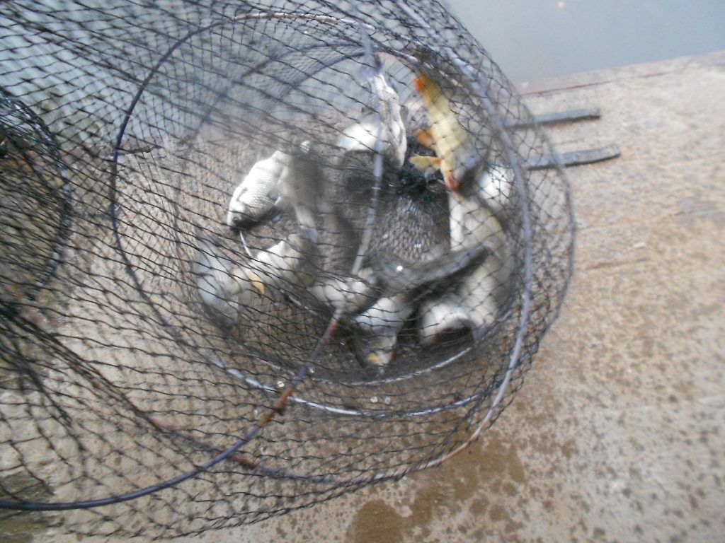 DSCN2357.JPG