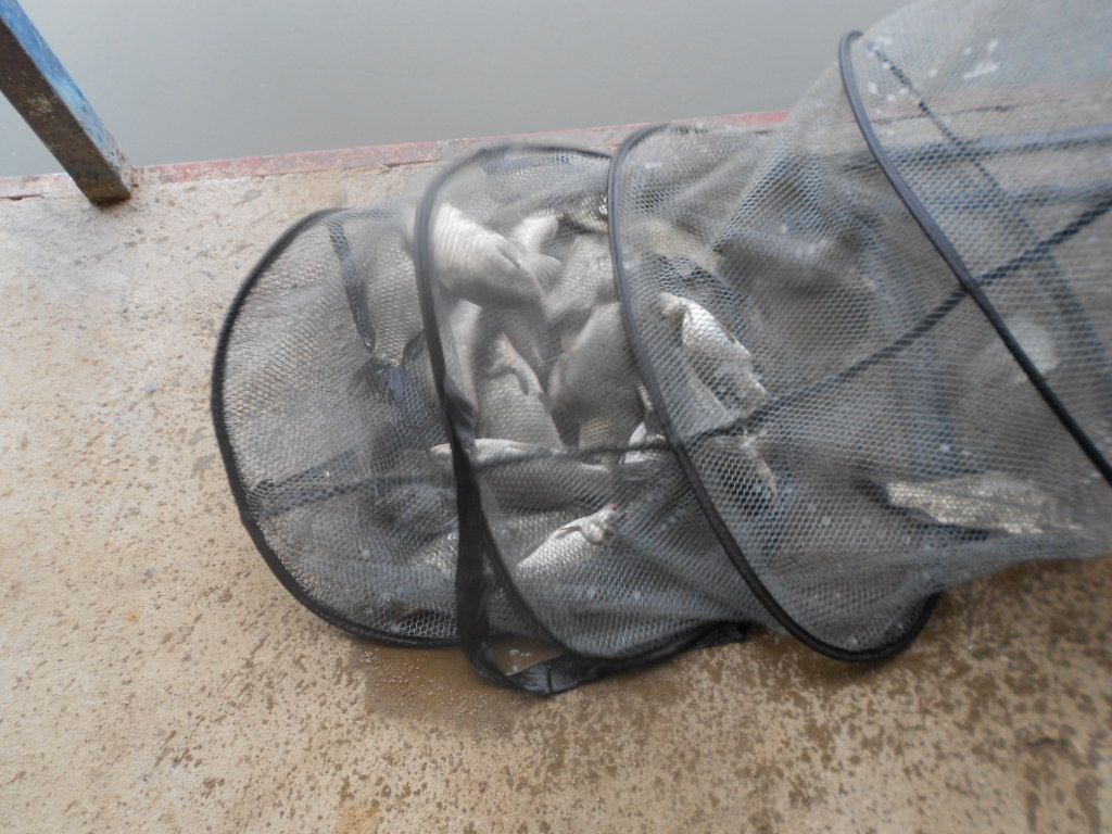 DSCN2339.JPG