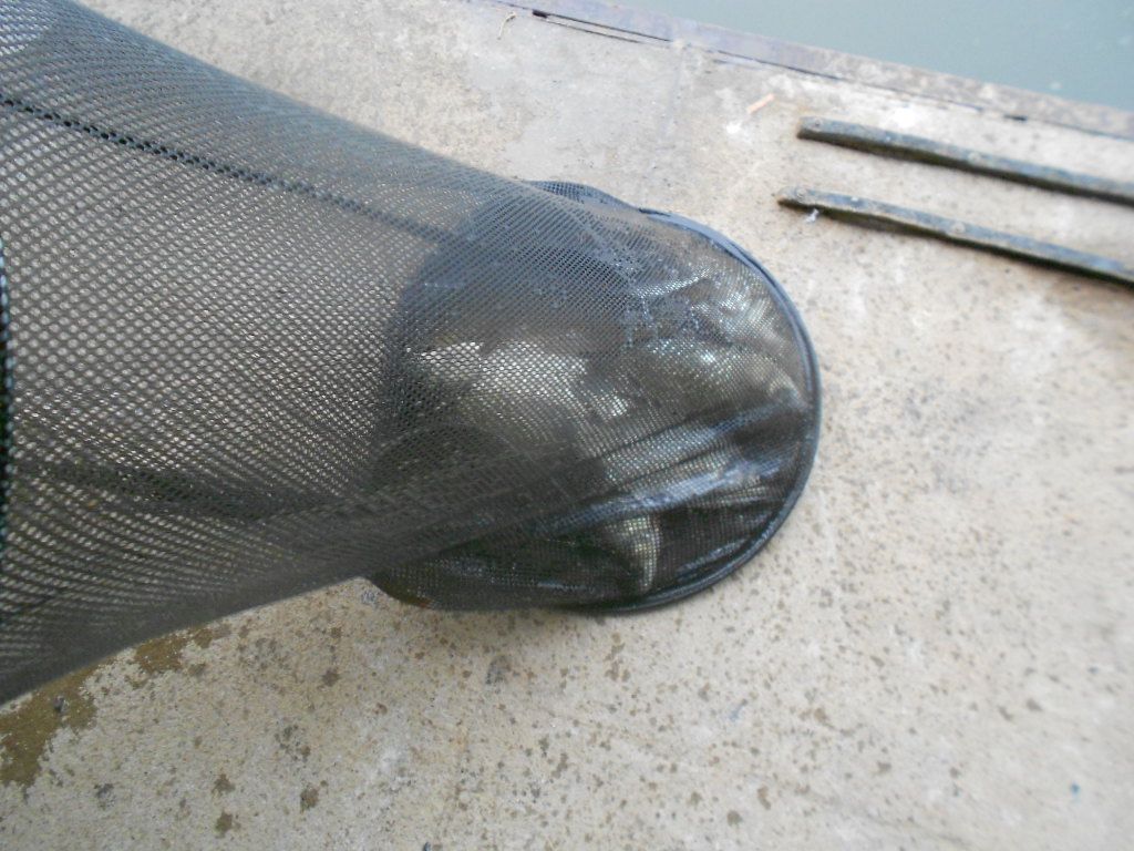 DSCN2337.JPG