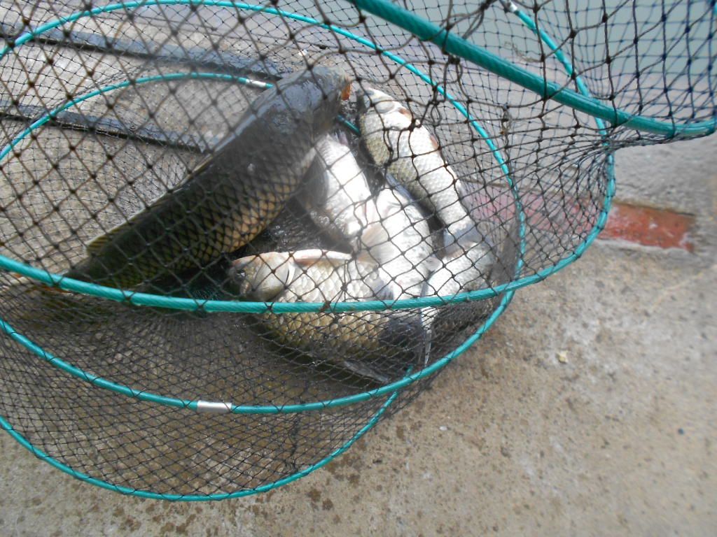 DSCN2338.JPG