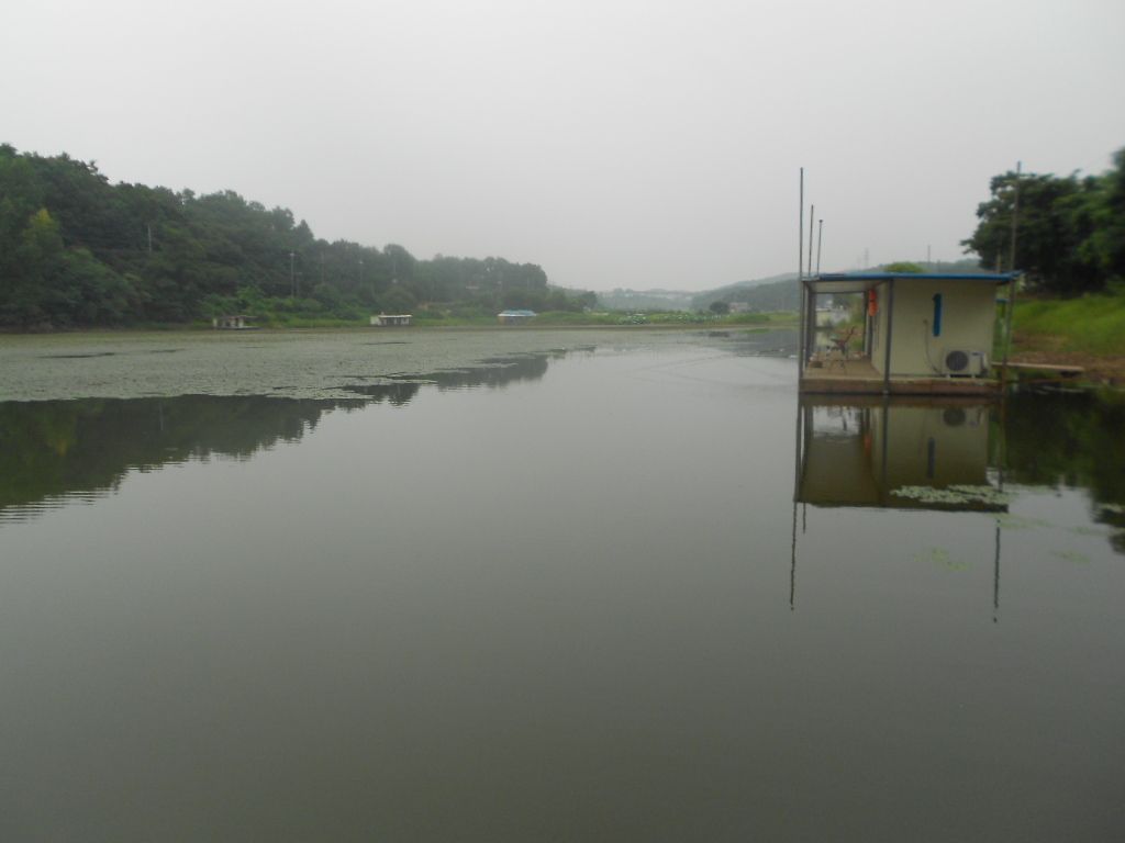 DSCN2340.JPG
