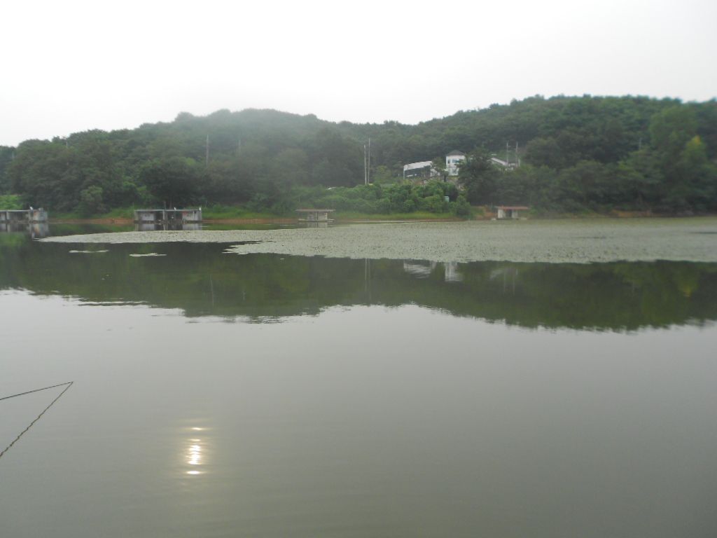 DSCN2341.JPG