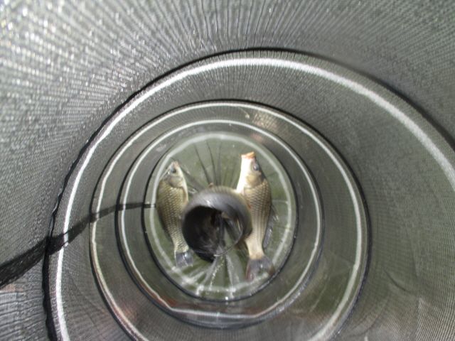r 102.JPG