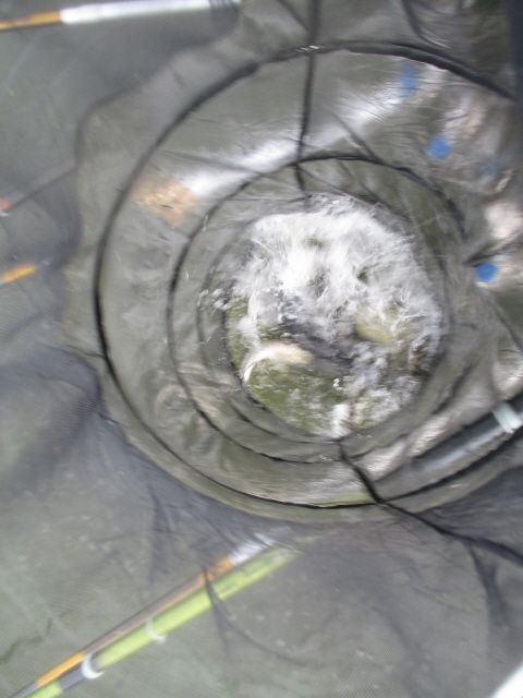 r 112.JPG