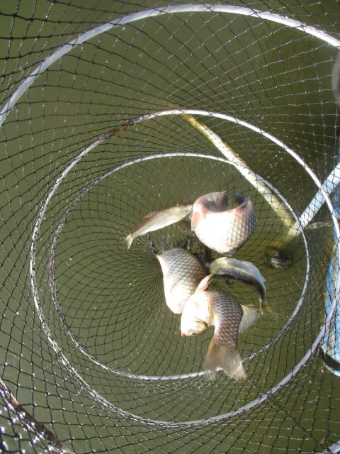 r 139.JPG