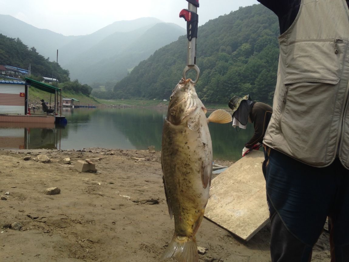 ���� 031.jpg