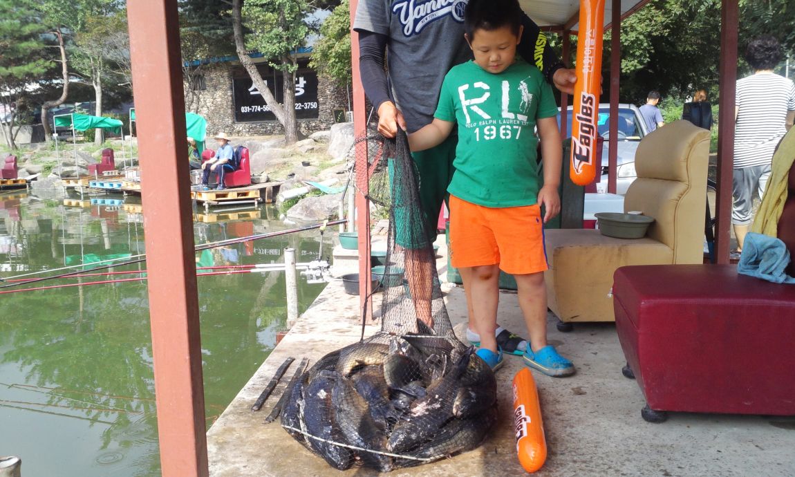 IMG_20150823_093207_1.jpg