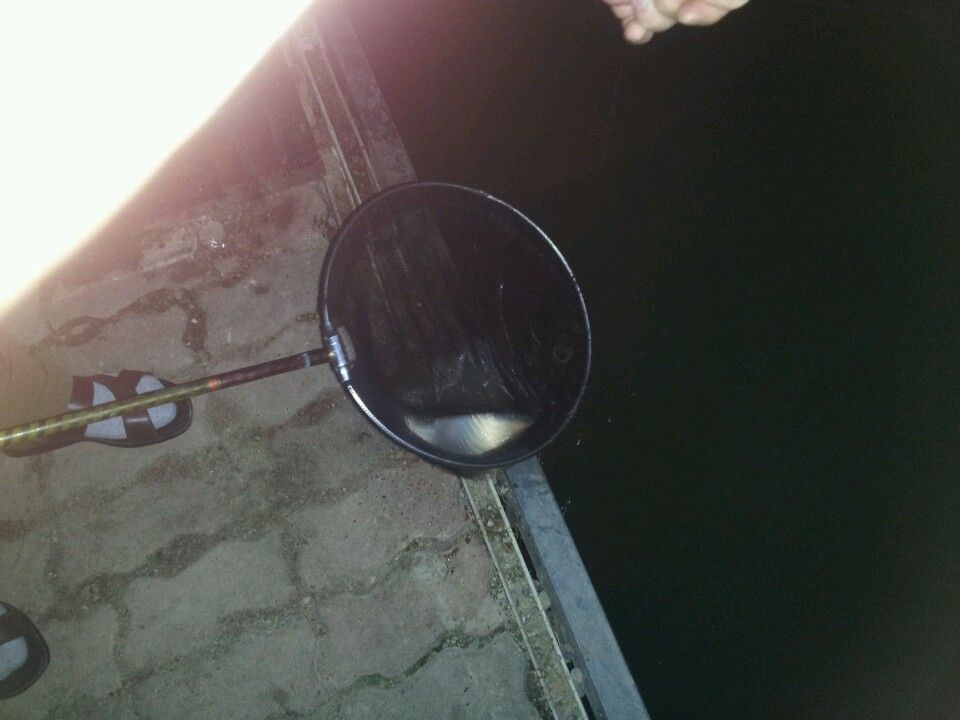 1440472840651.jpeg