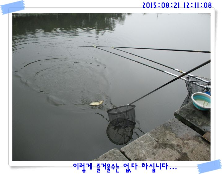 �ٹ̱�_IMG_3697.JPG