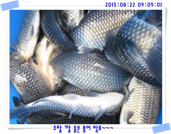 �ٹ̱�_IMG_3702.JPG