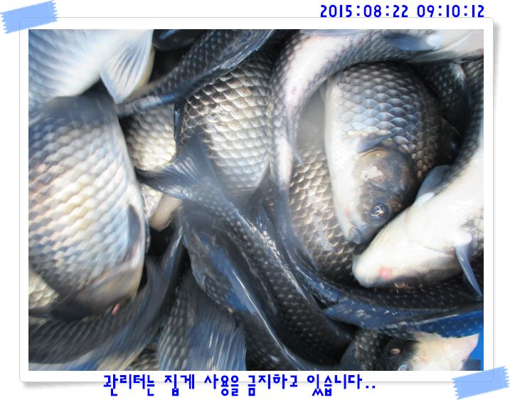 �ٹ̱�_IMG_3705.JPG
