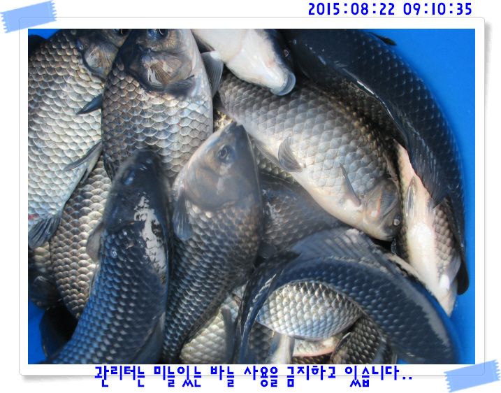 �ٹ̱�_IMG_3706.JPG